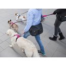 Dog Copenhagen Comfort Walk [Variation]