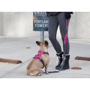 Dog Copenhagen Comfort Walk [Variation]